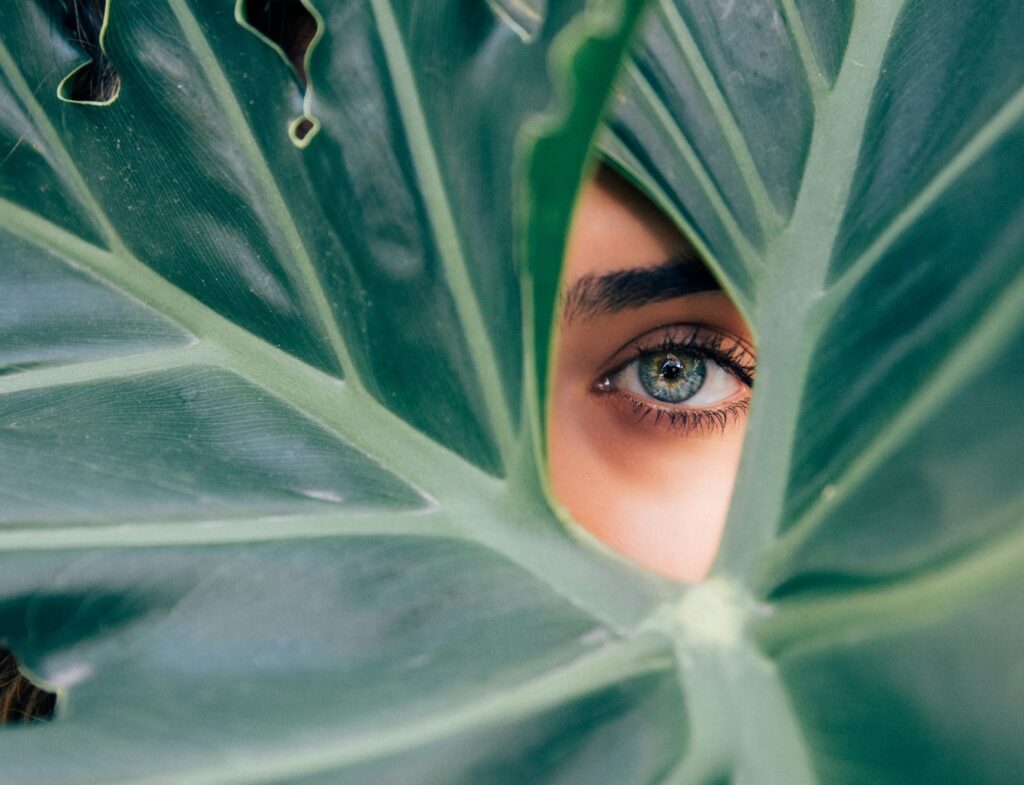 How to Repair Your Skin Barrier - Jarvis Development Cosmetics